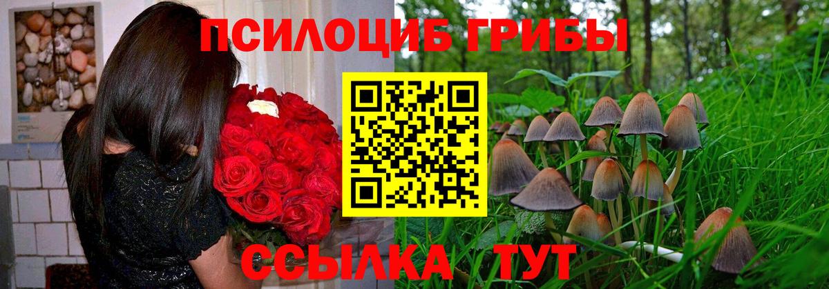 Галлюциногенные грибы Cubensis Семилуки