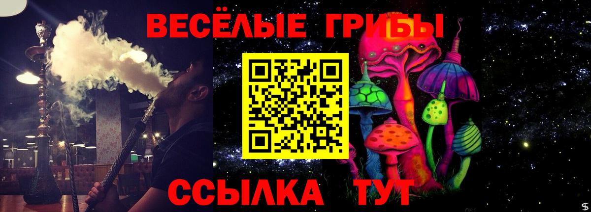 Семилуки  Галлюциногенные грибы прущие грибы  Вход с VPN 
